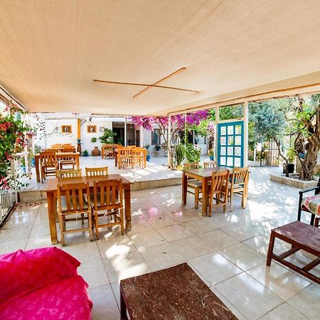 Eucalyptus Pension Patara Extérieur photo