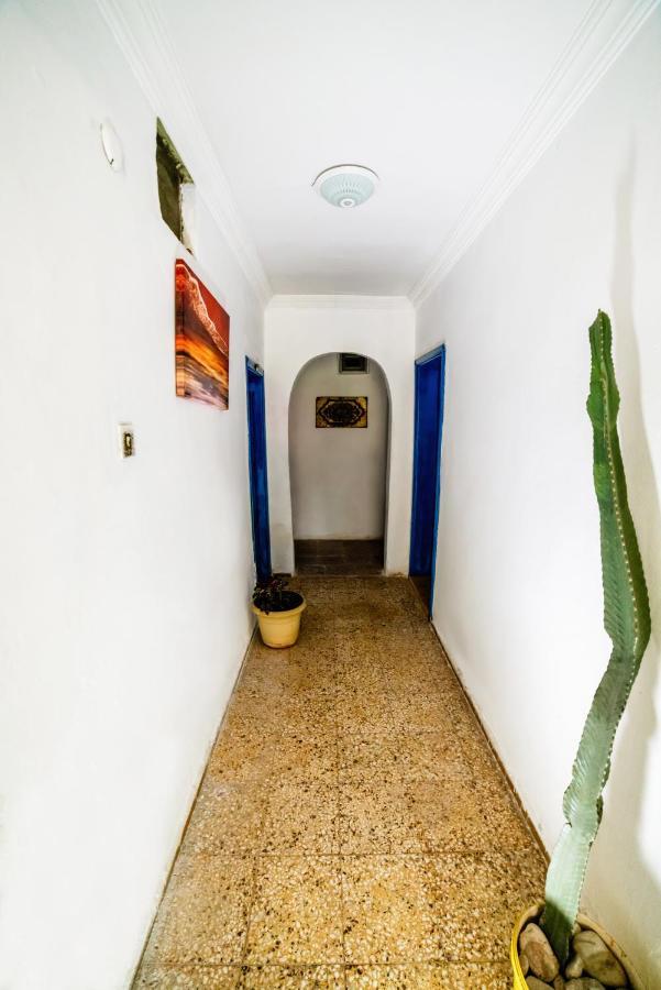 Eucalyptus Pension Patara Extérieur photo