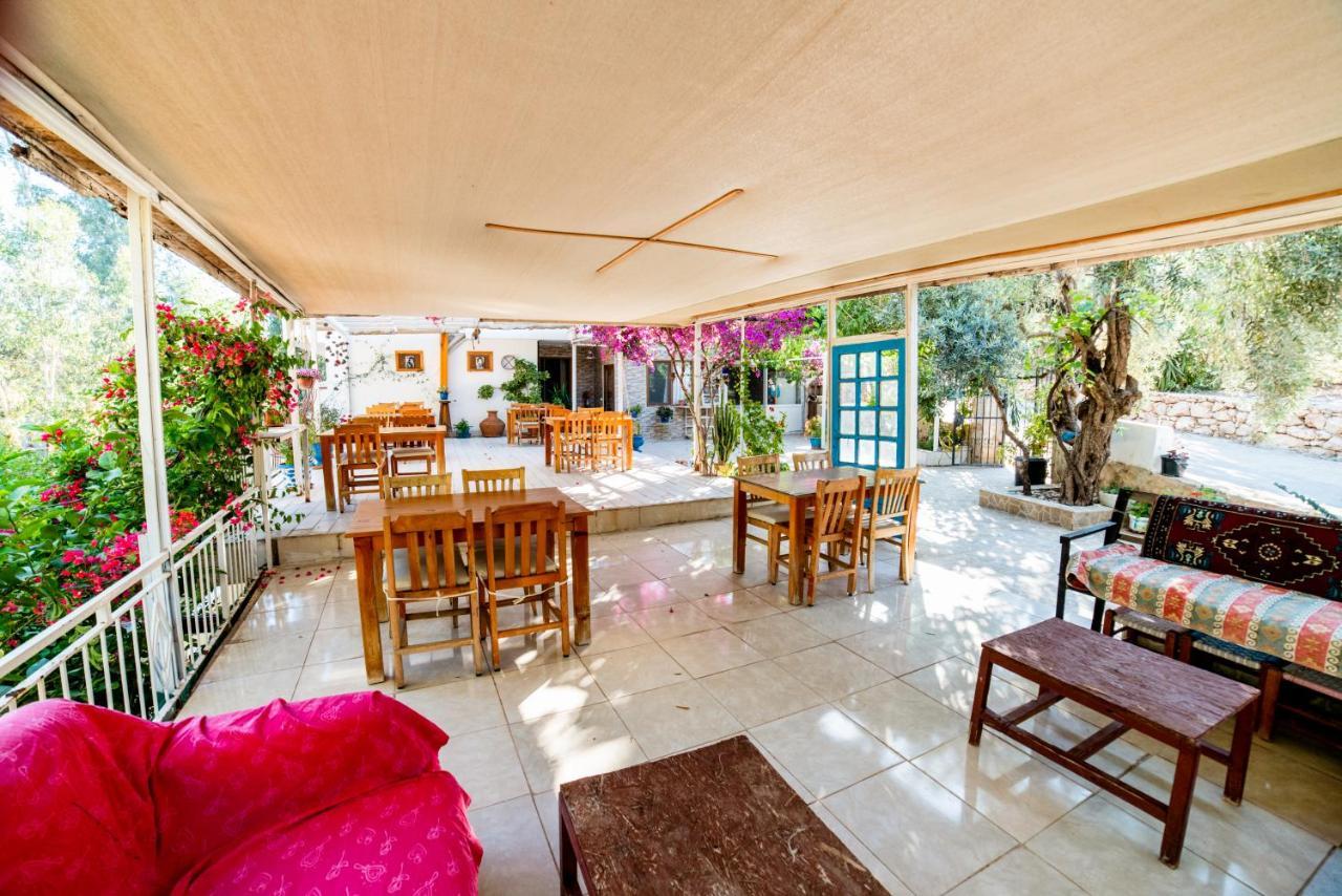 Eucalyptus Pension Patara Extérieur photo