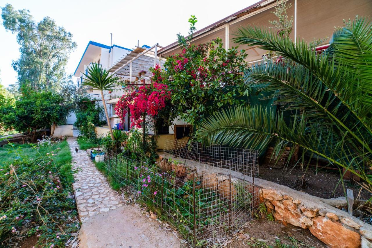 Eucalyptus Pension Patara Extérieur photo