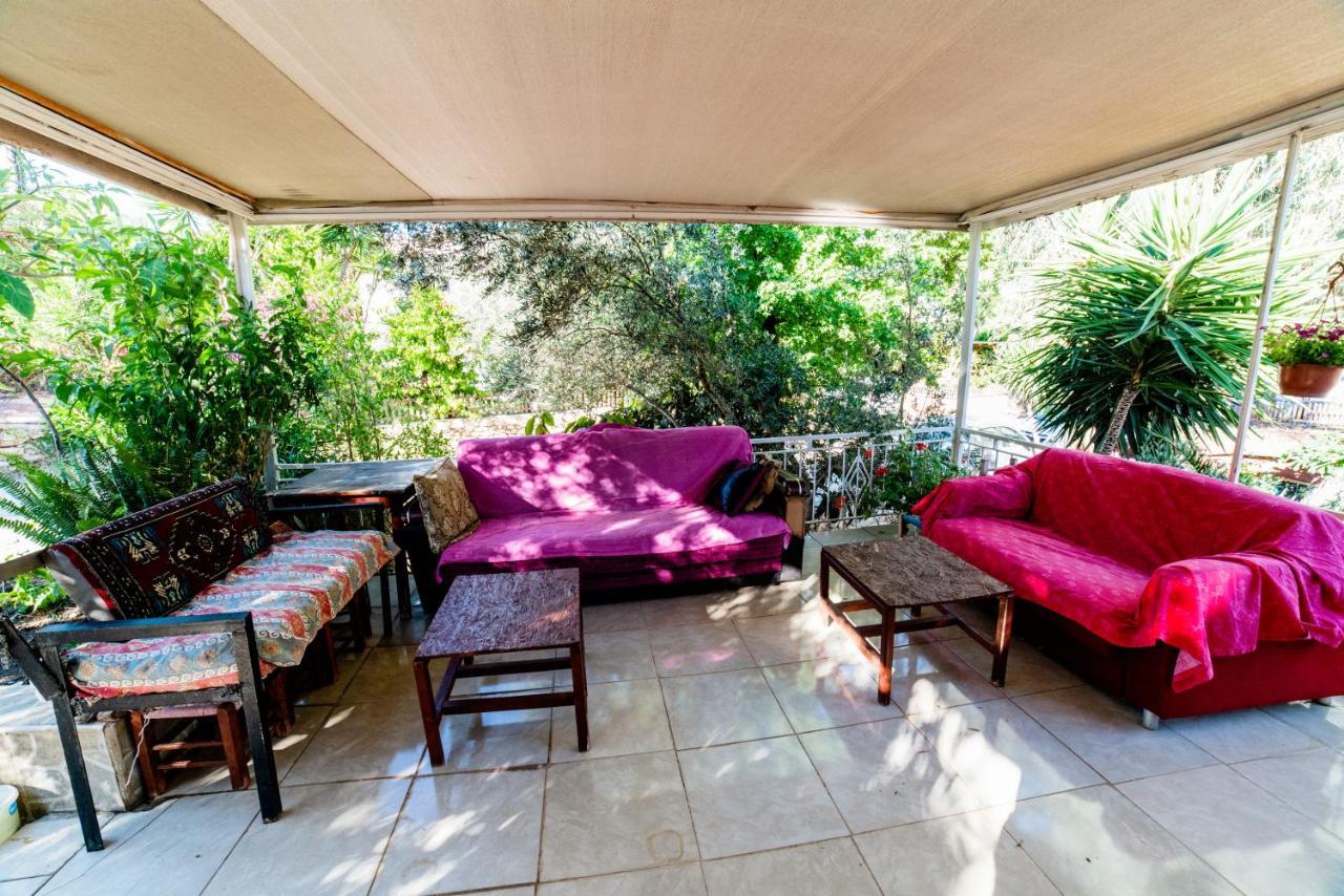 Eucalyptus Pension Patara Extérieur photo