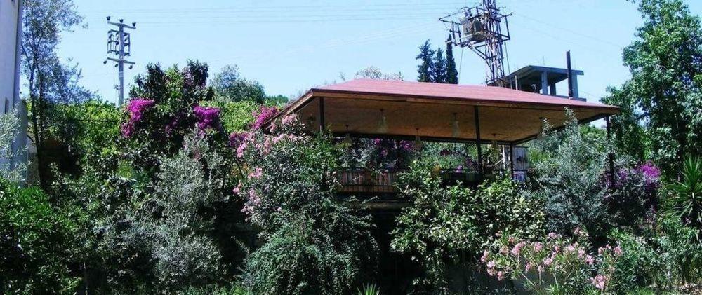 Eucalyptus Pension Patara Extérieur photo