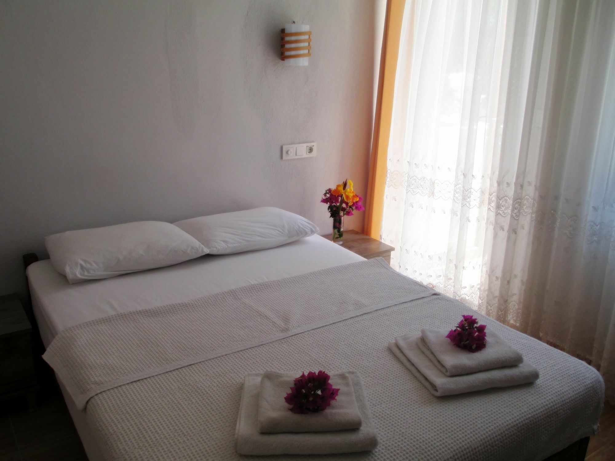 Eucalyptus Pension Patara Extérieur photo