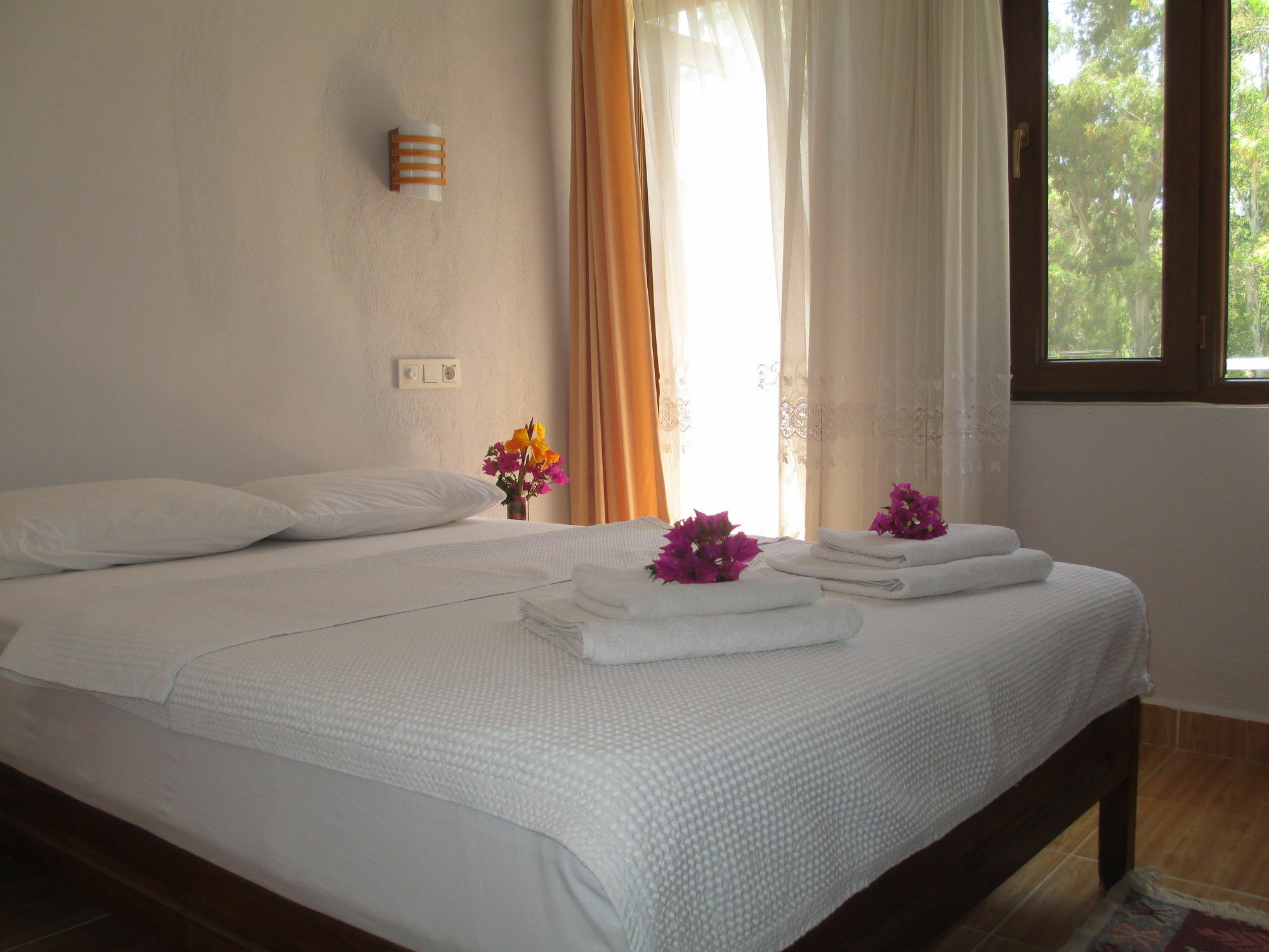 Eucalyptus Pension Patara Extérieur photo