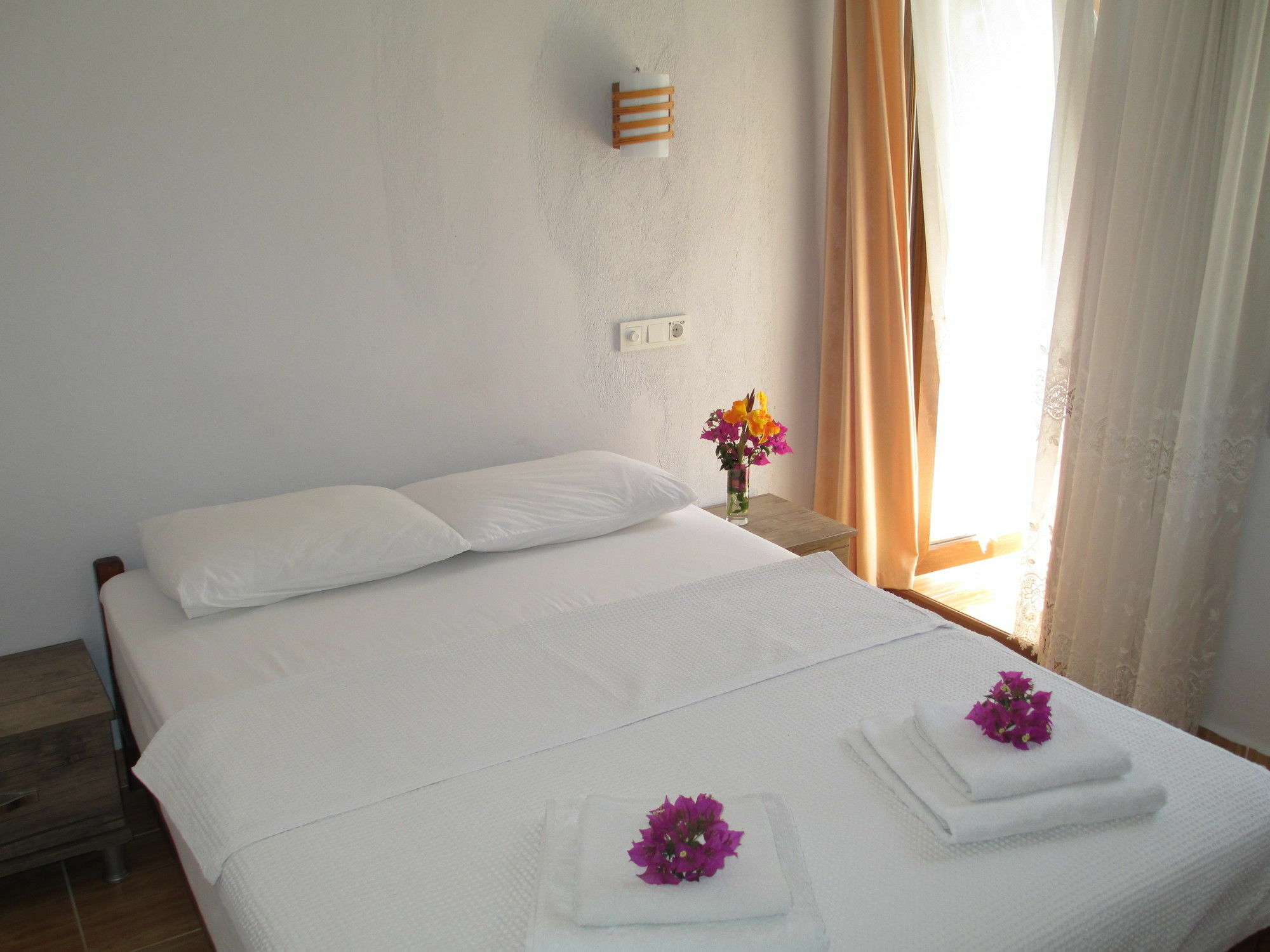 Eucalyptus Pension Patara Extérieur photo